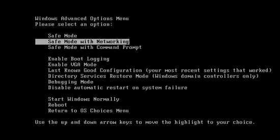 safe mode with networking1