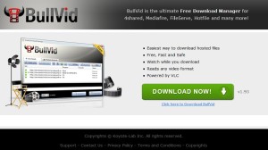 BullVid Download Manager