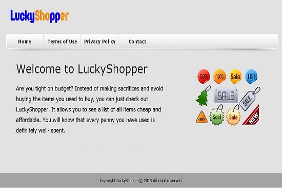 LuckyShopper-info