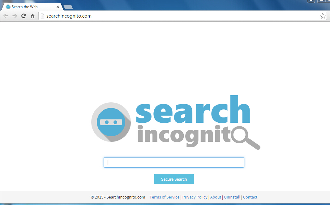 Searchincognito.com