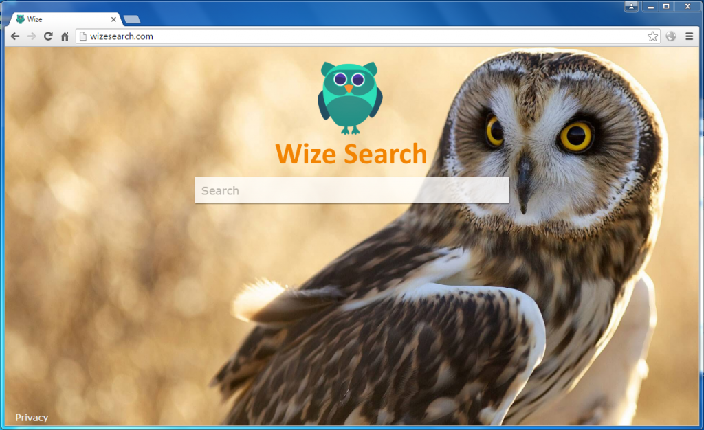Wizesearch.com Browser Hijacker
