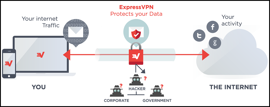 expressvpn knew facts executive who worked